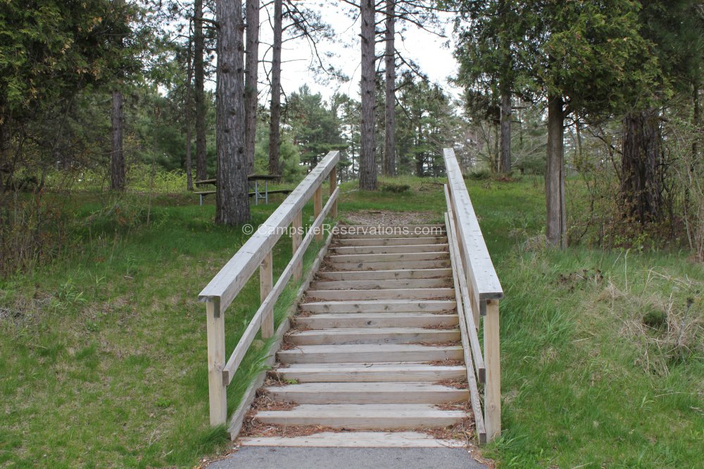 Campsite 202 in KohlerAndrae State Park Campground at KohlerAndrae State Park, Wisconsin